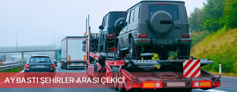 Aybastı İlçemi Şehirler Arası Çekici