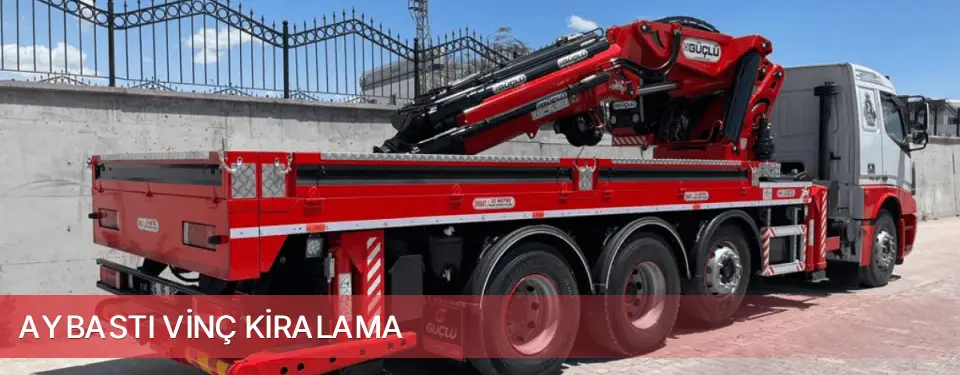 Aybastı İlçemi Vinç Kiralama
